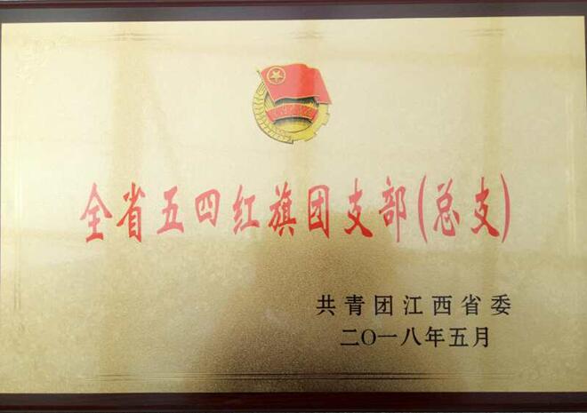 南昌向远轨道技术学校迎来“全省五四红旗团支部”荣誉之花的璀璨绽放