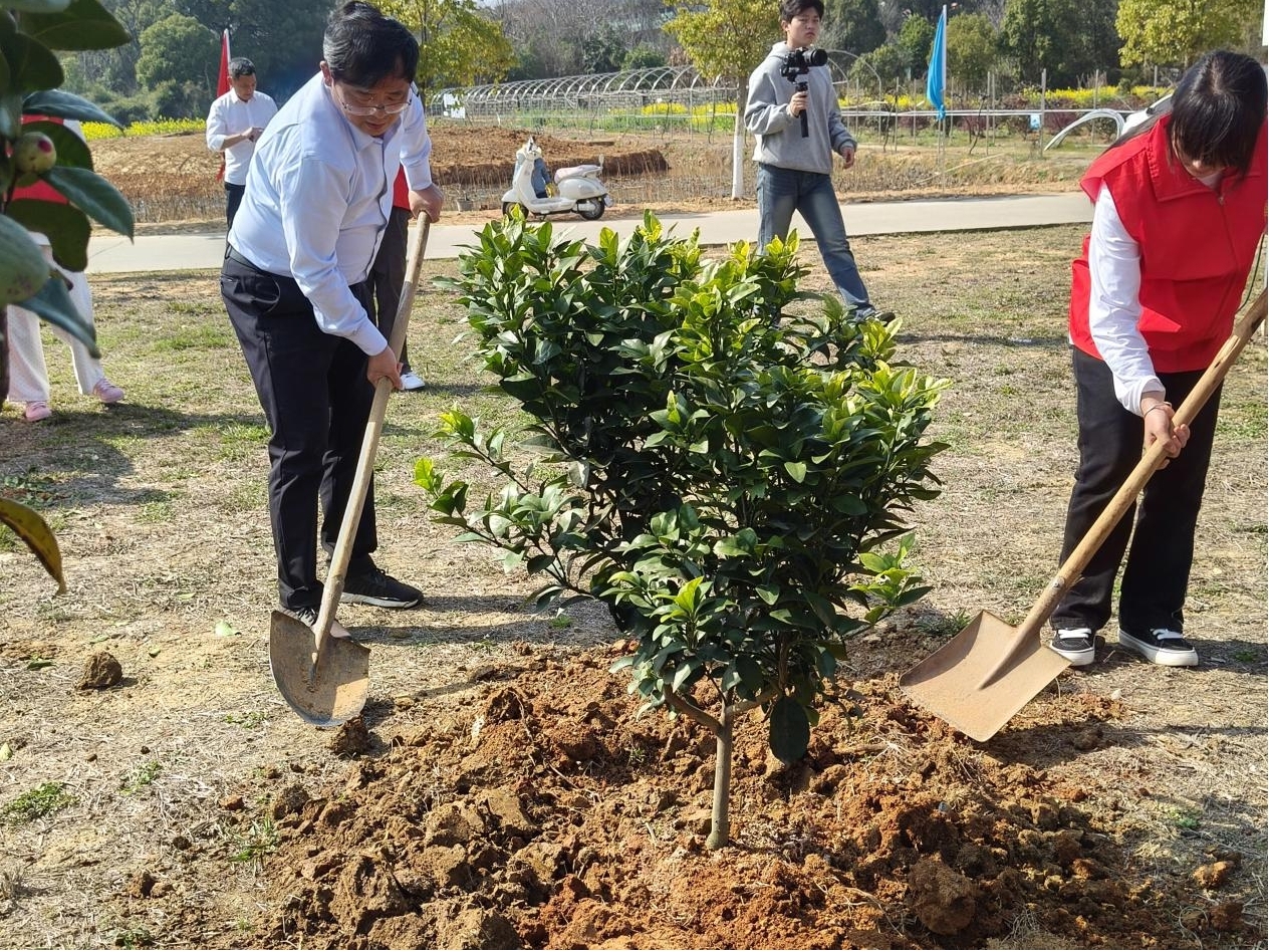 南昌向远轨道技术学校开展植树节主题实践活动
